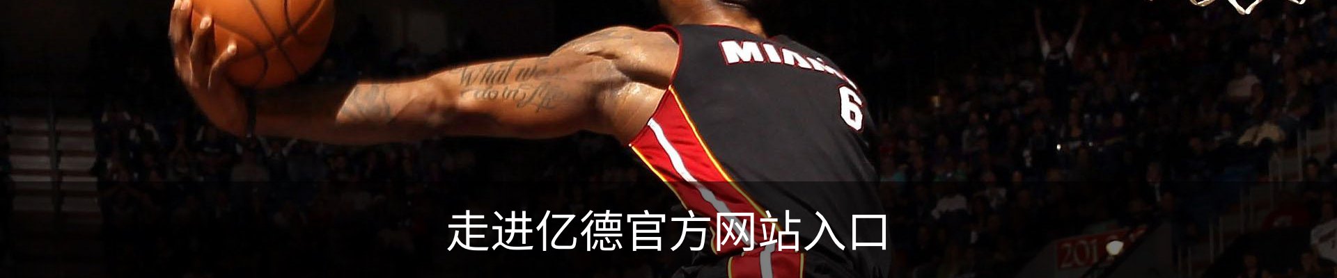 走进亿德官方网站入口